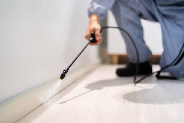 Rodent Entry Point Assessment in Coalinga