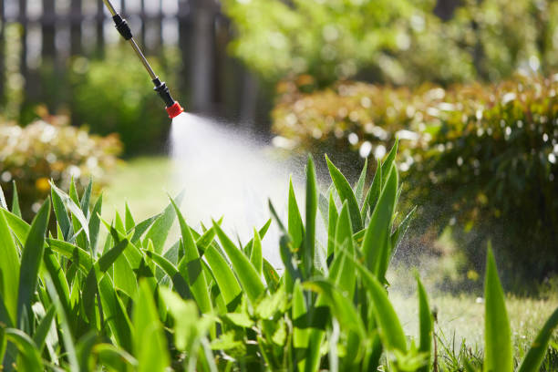 Tamper-Resistant Bait Stations for Rodents in Coalinga