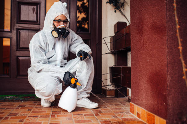 Attic and Crawl Space Rodent Treatment in Coalinga